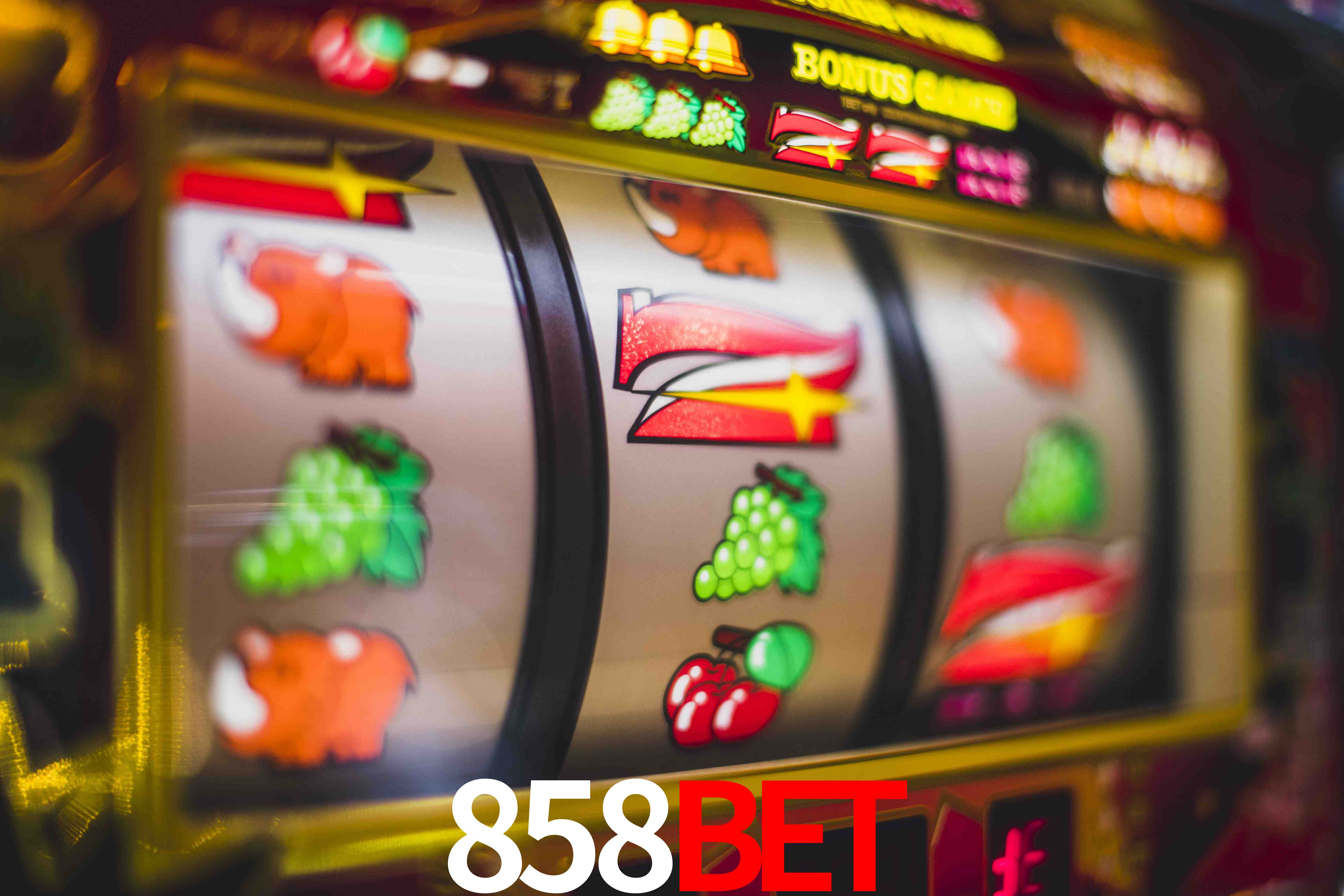 VIP Casino 858Bet